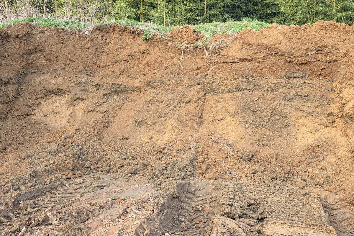 Fill Dirt (Carolina per yard)