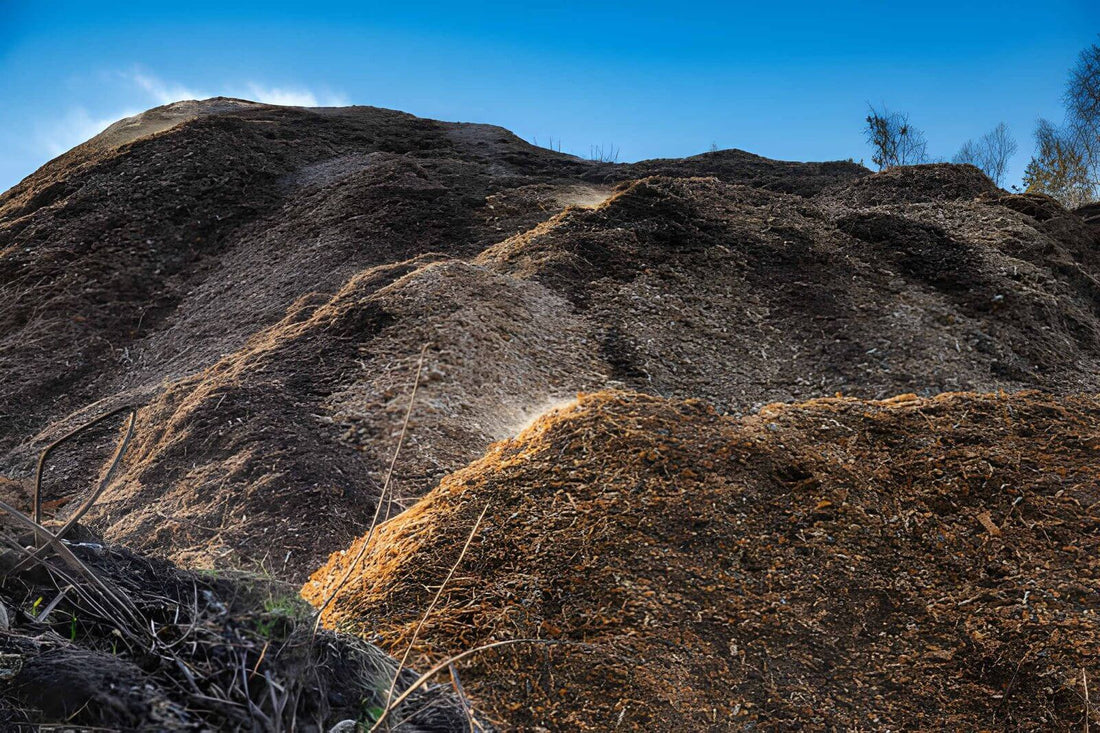 Bulk Mulch Rules In Ohio: What Homeowners And Contractors Need To Know Before Delivery - Sagamore Companies