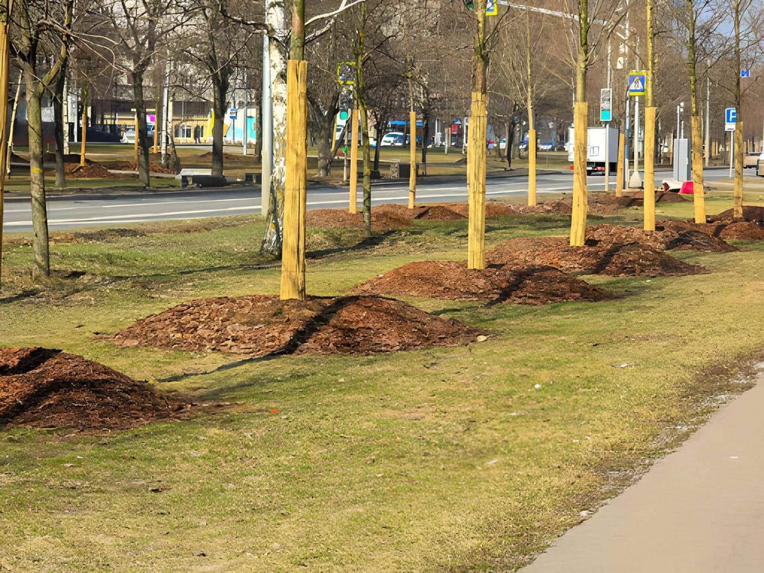 City Mulch Ordinances In Ohio: Local Rules Property Owners Must Follow