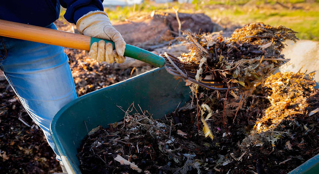Environmental Mulch Rules In Ohio: How Ohio Regulates Wood Waste