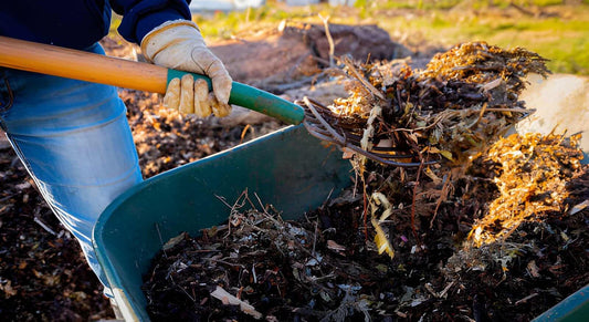 Environmental Mulch Rules In Ohio: How Ohio Regulates Wood Waste