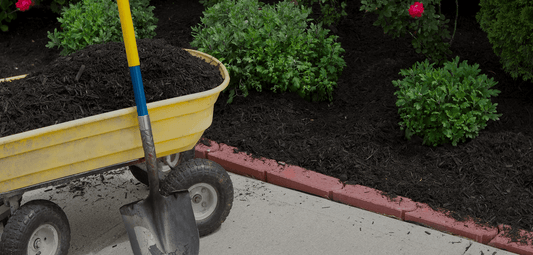 Mulch Before You Spread: The Truth About Mulch Permit Requirements In Ohio - Sagamore Companies