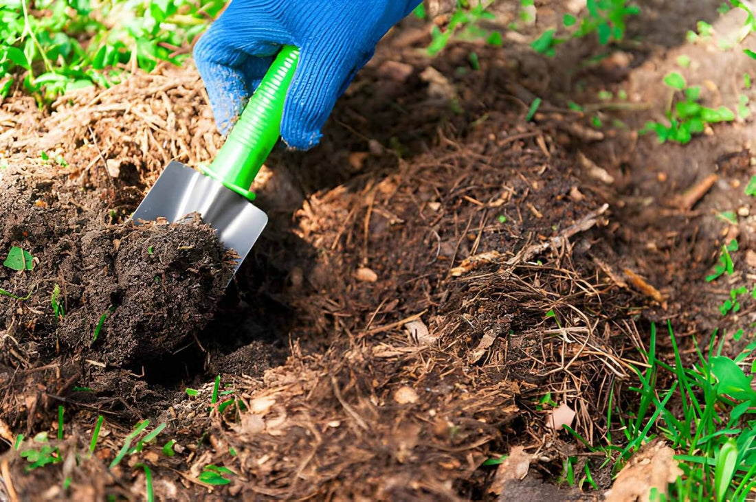Hand holding shovel while spreading dark mulch