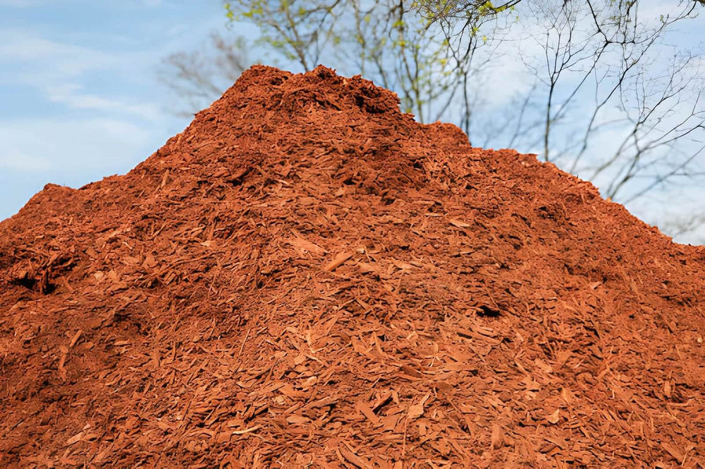 
                  Black Vs Red Mulch Ohio: Which One Should You Choose?
                
