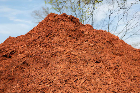 Black Vs Red Mulch Ohio: Which One Should You Choose?