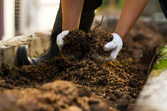 Hands holding fresh mulch while spreading it in a garden bed