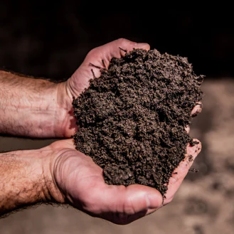 PureSoil™ (Carolina per yard)