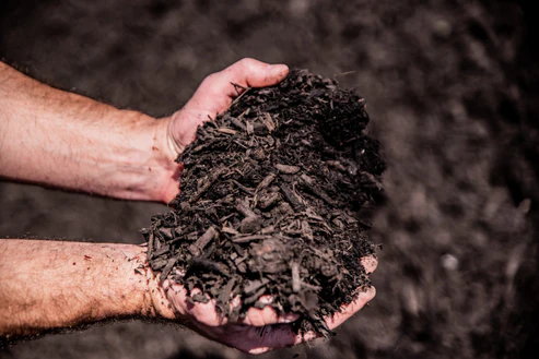 MULCH