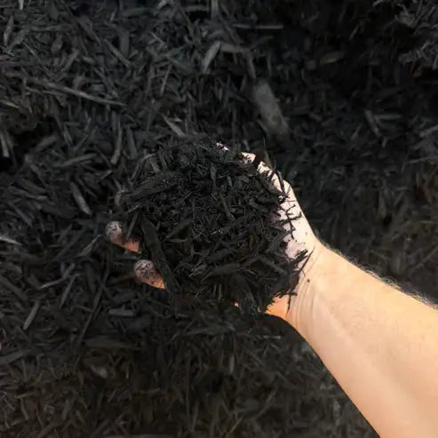 Black Sagamore Silk™ (Double Ground) (Carolina per yard)