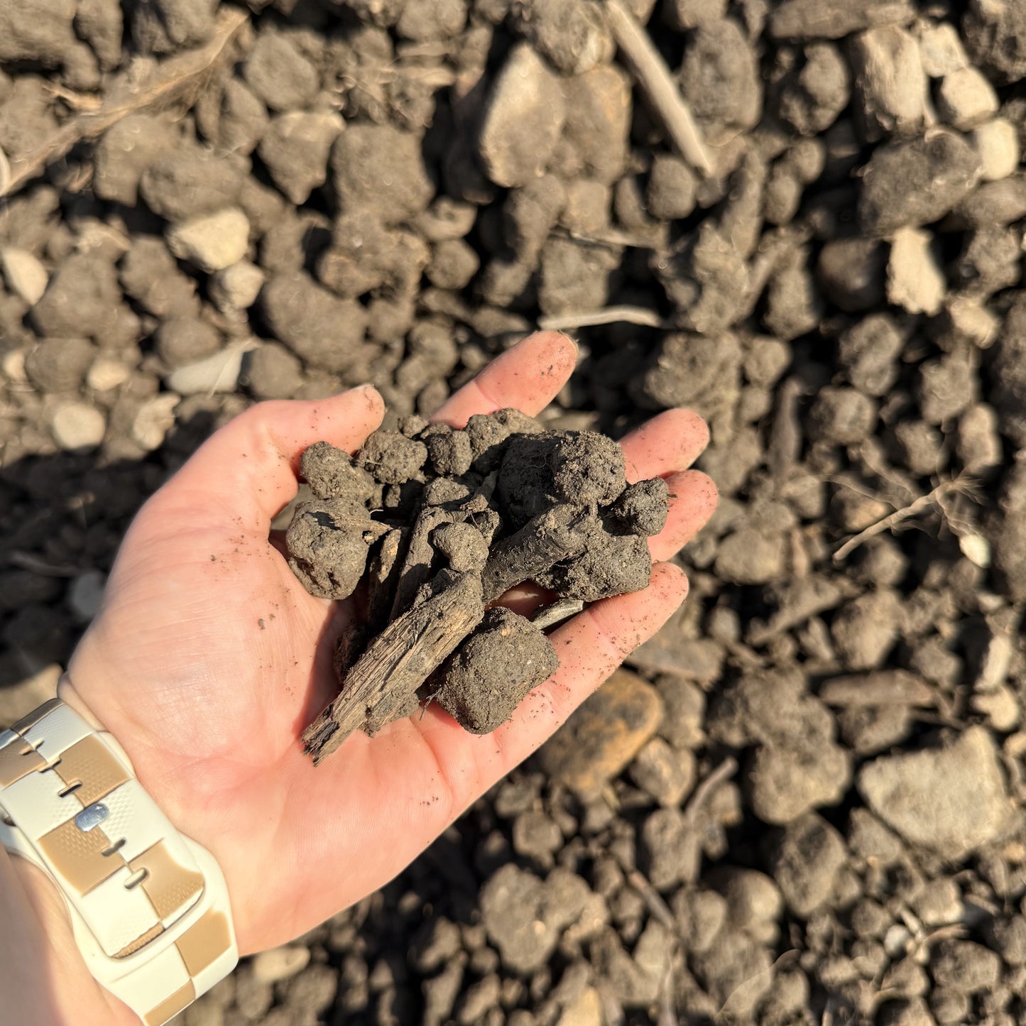 StructaFill™ — Screened Fill Material (Ohio per yard)