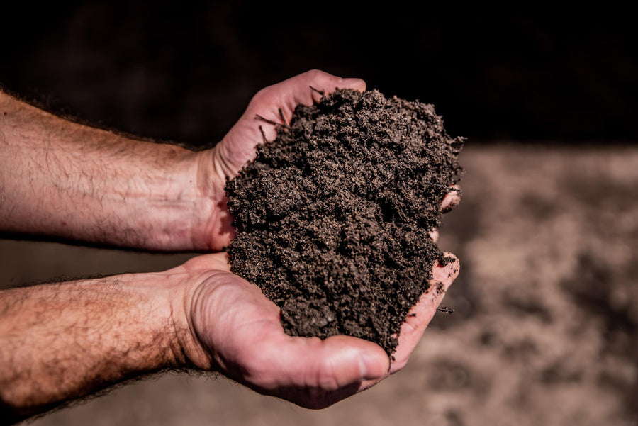TOPSOIL & SOIL BLENDS