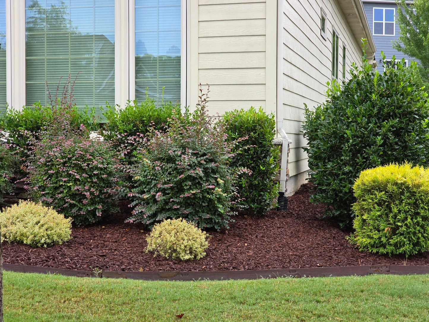 Brown Sagamore Sedona™ (Double Ground) (Carolina per yard) - Sagamore Companies - Mulch
