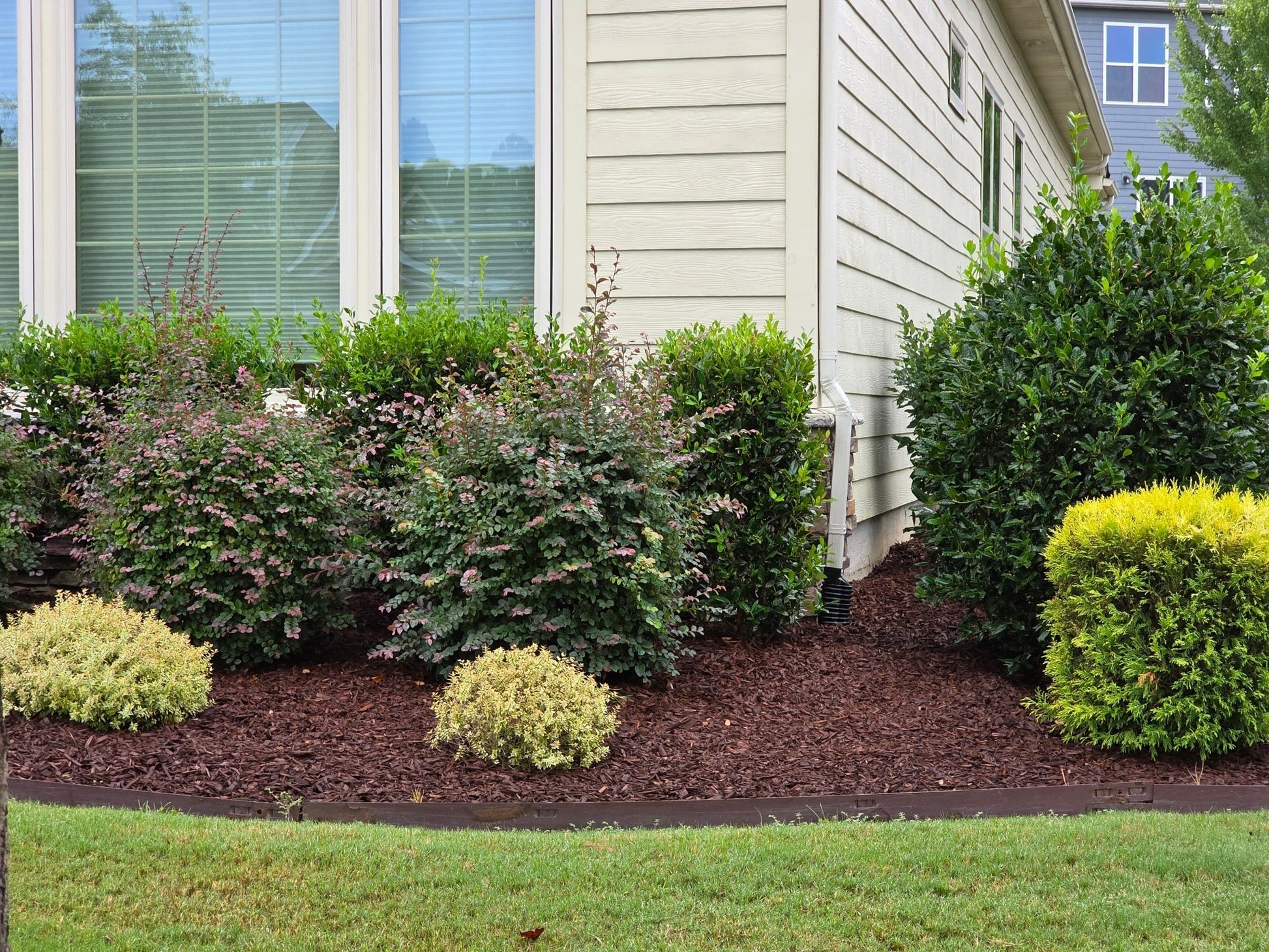 Brown Sagamore Sedona™ (Double Ground) (Carolina per yard) - Sagamore Companies - Mulch