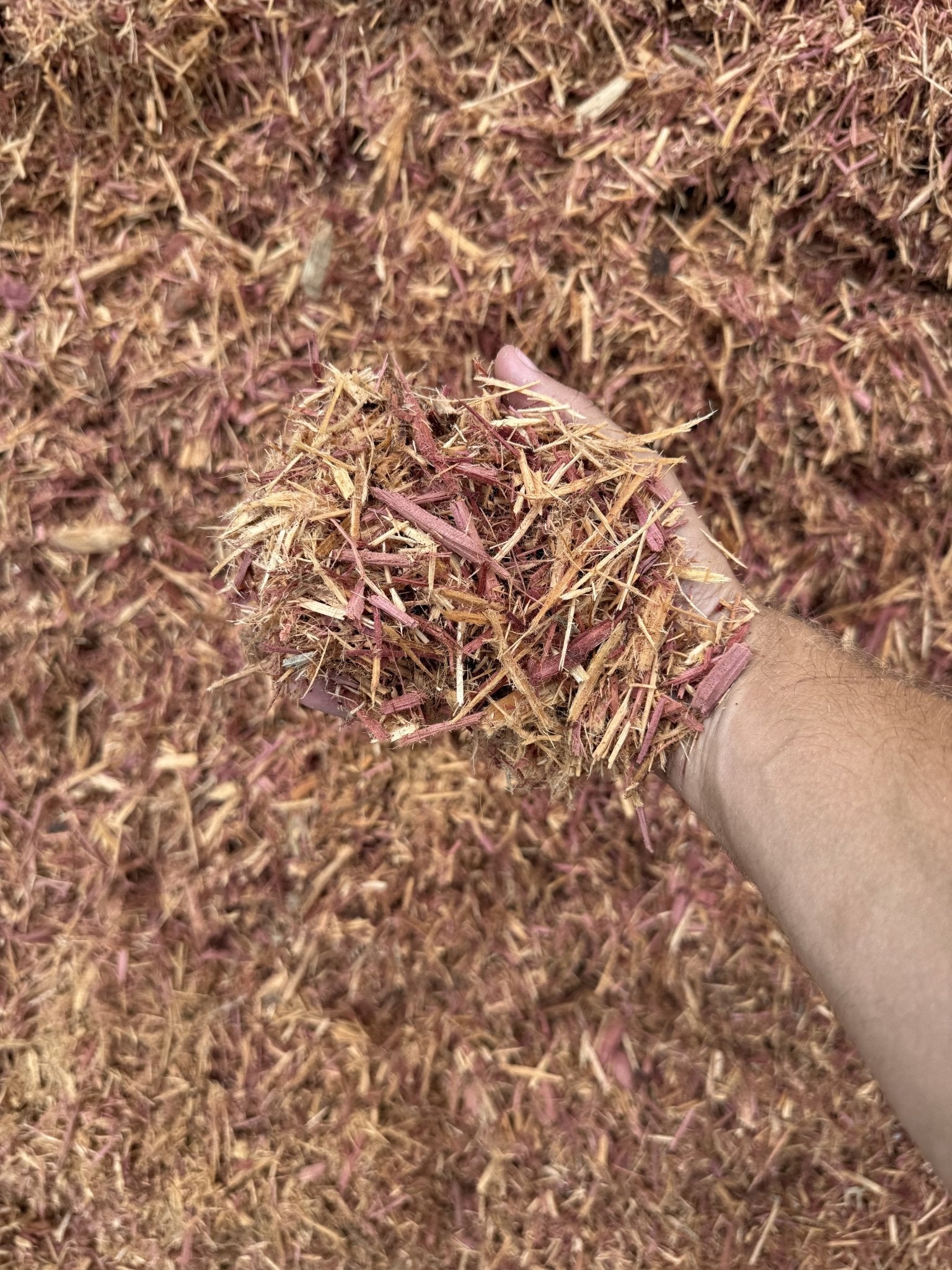 Cedar Mulch (Carolina per yard) - Sagamore Companies - Mulch