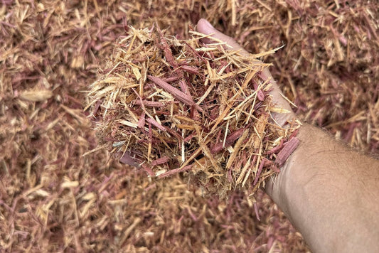 Cedar Mulch (Carolina per yard) - Sagamore Companies - Mulch