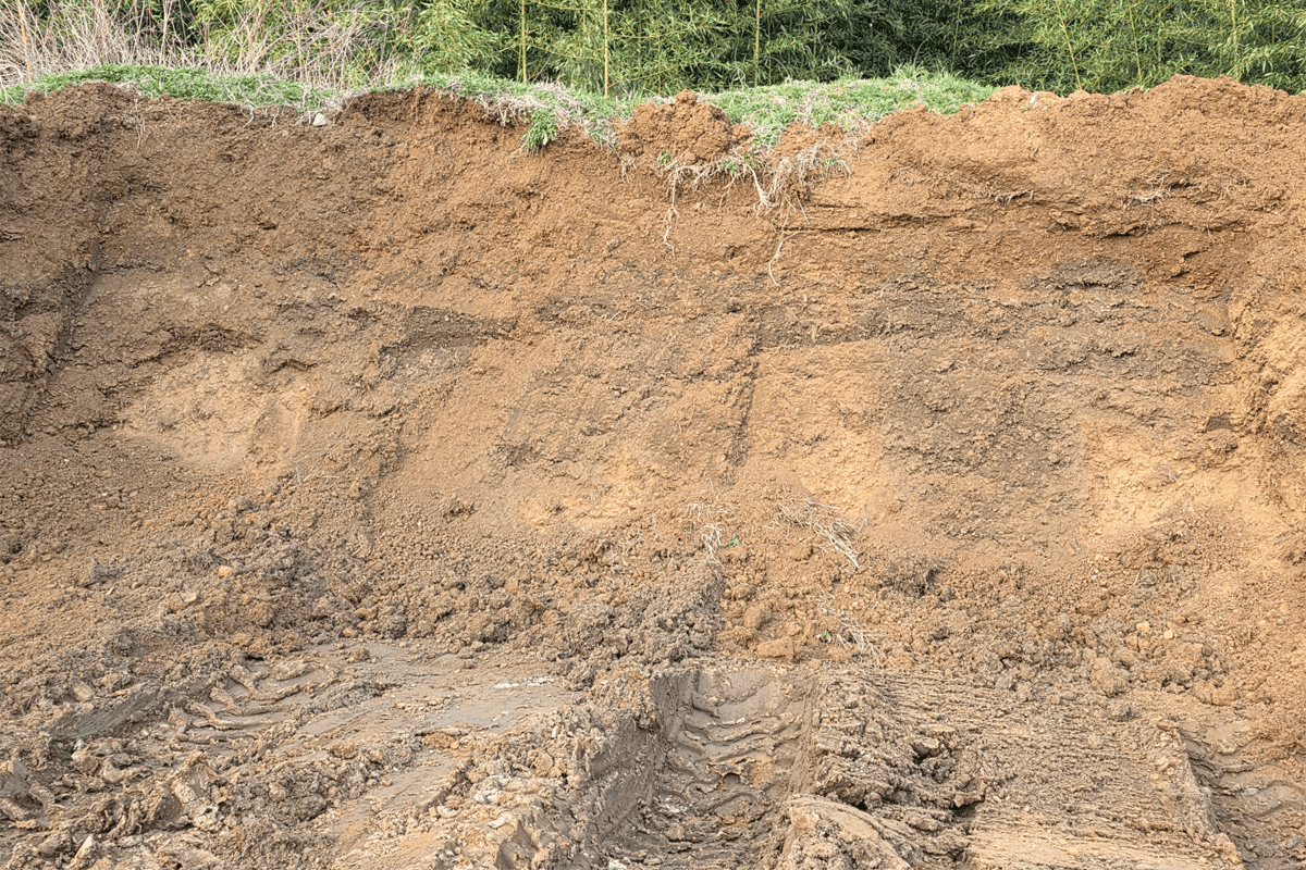 Fill Dirt (Carolina per yard) - Sagamore Companies - Soils