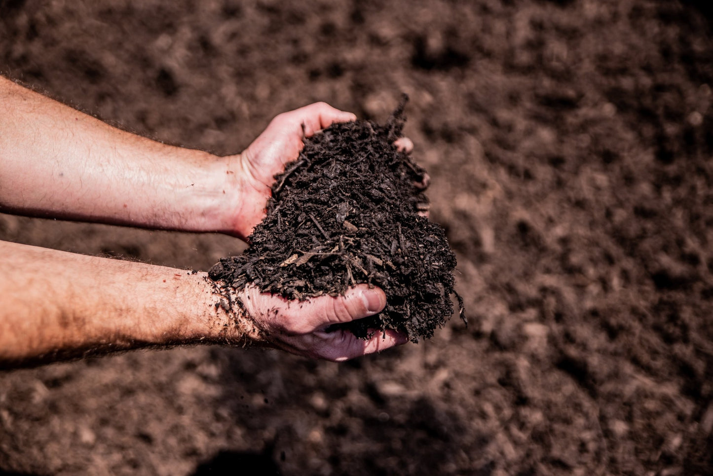 Organic Triple Fines Mulch (Ohio per yard) - Sagamore Companies - Mulch