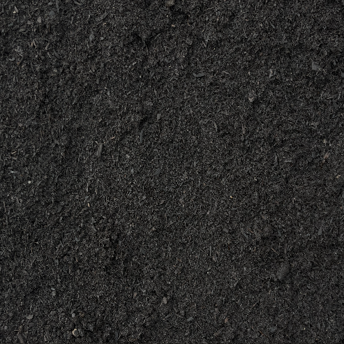 Sweet Peet (Ohio per Yard)